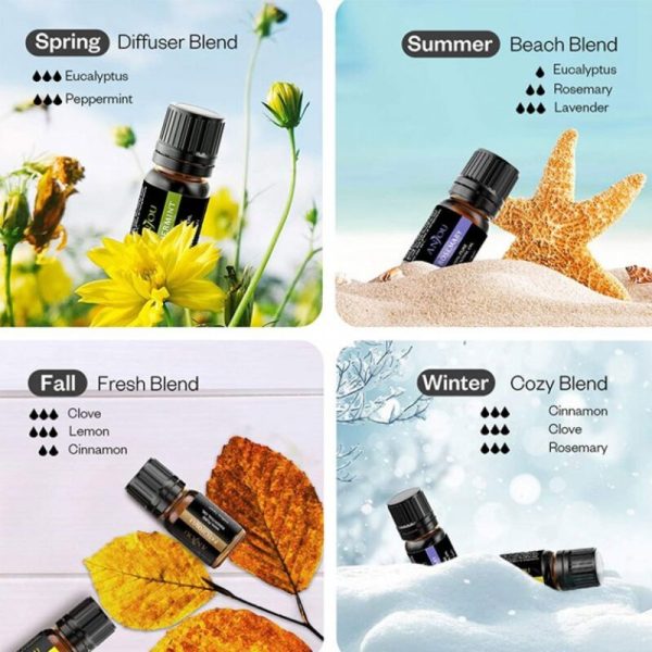 ANJOU Essential Oils 12 Set - Image 3